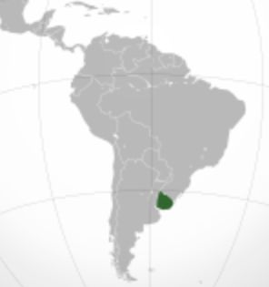 uruguay de verde en el mapa de América Latina
